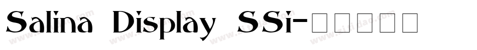 Salina Display SSi字体转换